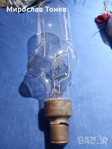 продавам крушки , снимка 2 - Крушки - 52135822