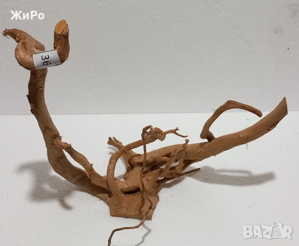 Корен от Азалия /декорация/ 36