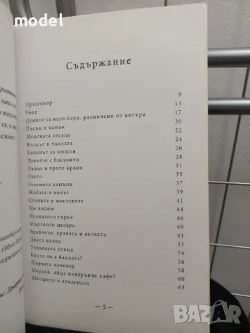 Скритият дар 101 притчи за истински ценното в живота - Джериес Авад, снимка 3 - Други - 49286838