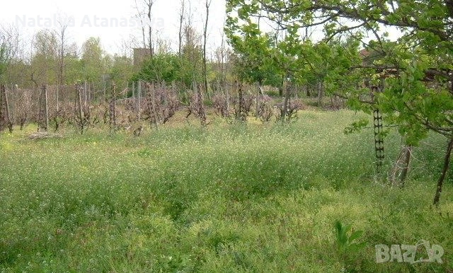 Парцел за продажба в Бенковски, снимка 6 - Парцели - 53656378