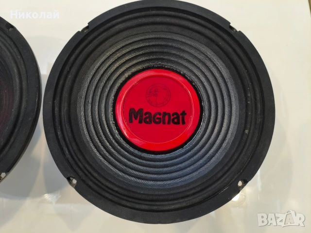 Говорители Magnat 10 инча , снимка 3 - Тонколони - 53060484