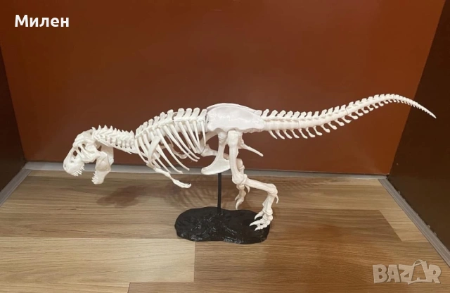 Тиранозавър Рекс 