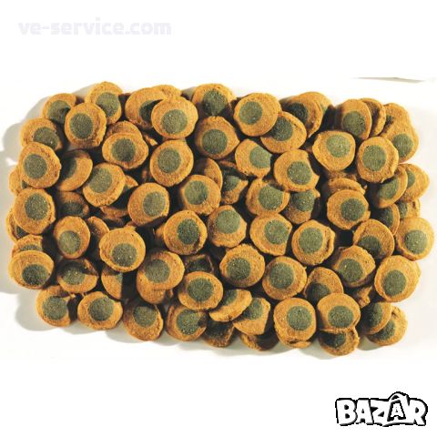 TETRA PLECO SPIRULINA WAFERS, снимка 2 - Други - 45729502