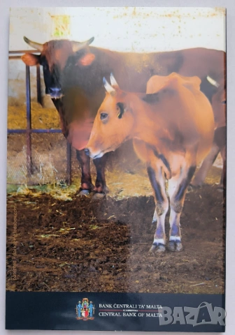 Малта 2 евро 2025 Местни малтийски видове - малтийски вол, снимка 4 - Нумизматика и бонистика - 53948221