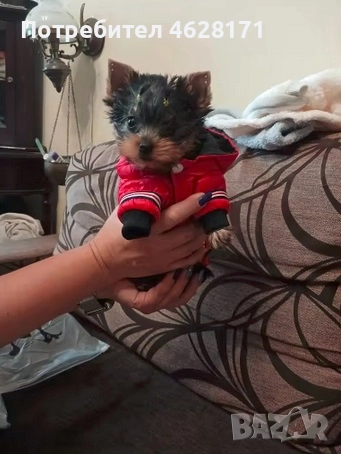 Кучешки дрешки топли якенца нови, снимка 8 - За кучета - 52153706