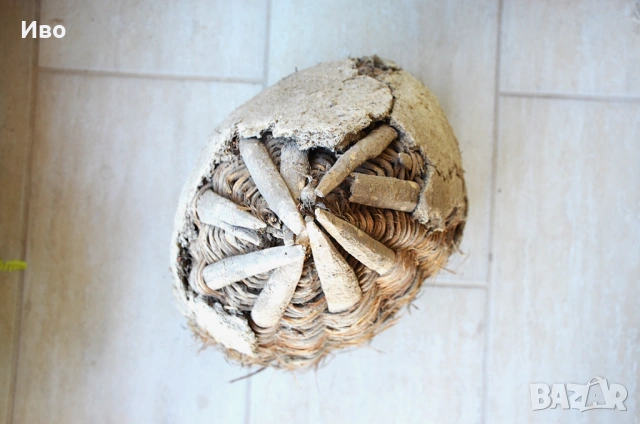 Тръвна, снимка 5 - Декорация за дома - 53814407