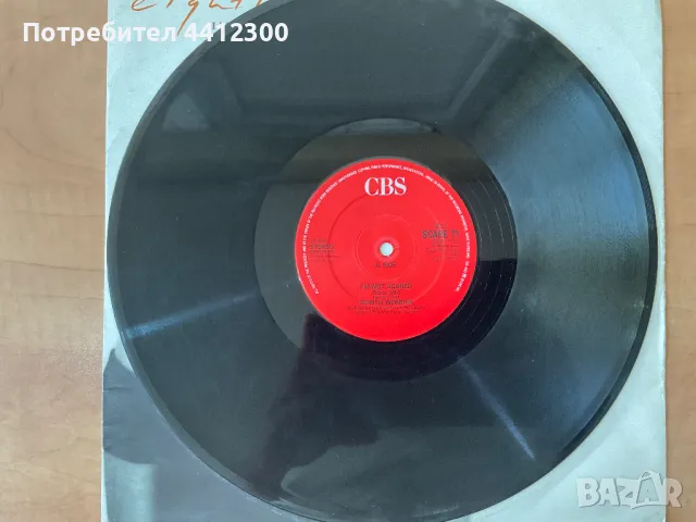 Грамофонна плоча 12”, снимка 3 - Грамофонни плочи - 50171624