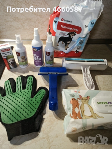 продавам кокер шпаньол – перфектно кутренце с пълен комплект!, снимка 5 - Шпаньоли - 52535823