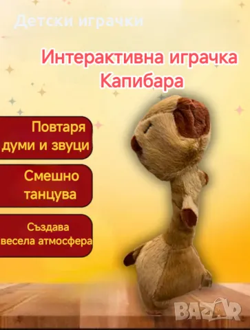 Капибара танцува, повтаря и пее, снимка 2 - Други - 49878151