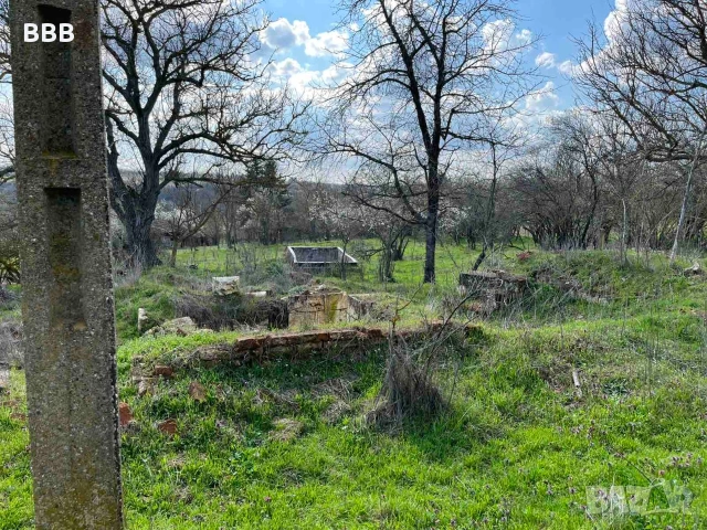 Имот в село Побит камък община Разград 