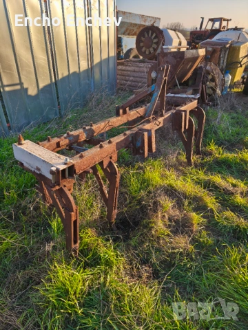 Чизъл за Лавандула, снимка 4 - Градински цветя и растения - 53659089