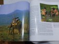 Книга за животинския свят в Африка и Азия , снимка 6