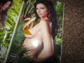 Playboy февруари 2010 плейбой с плакат, снимка 3