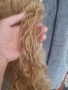 Тъмно руса опашка за коса на шнола , снимка 3