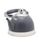 Висококачествен чайник с фина цедка, 1L, снимка 1 - Аксесоари за кухня - 45773525
