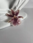 Брошки с естествен цвят на орхидея. , снимка 2