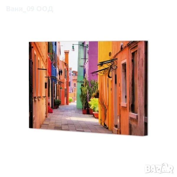 Картина-канава 40/50см, снимка 1