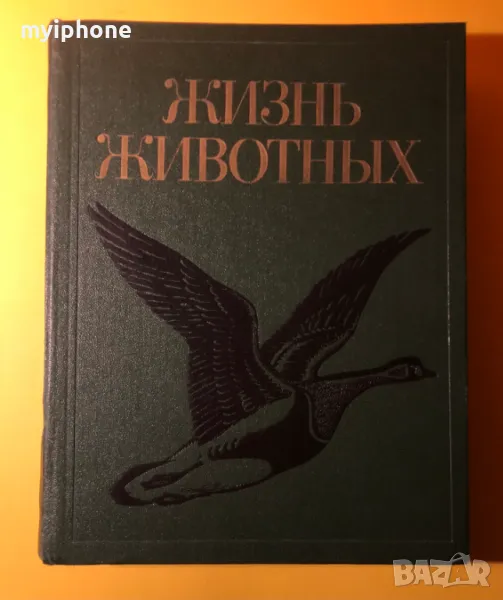 Стара Книга от Поредицата Живота на Животните/ Птиците том 6, снимка 1