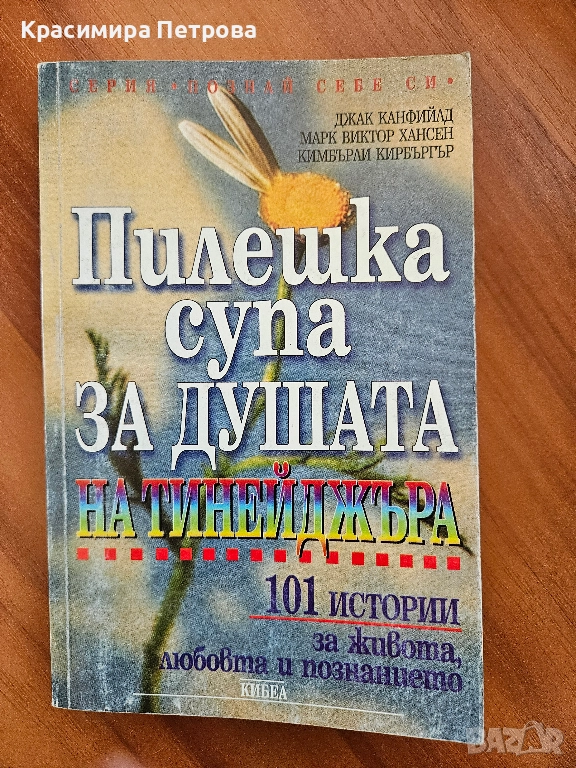 Пилешка супа за душата на тийнейджъра, снимка 1