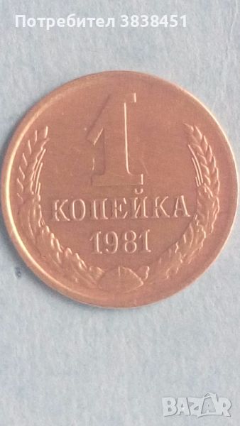 1 копейка 1981 года Русия, снимка 1