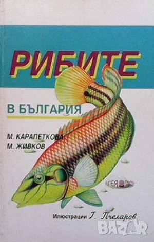 Рибите в България, снимка 1