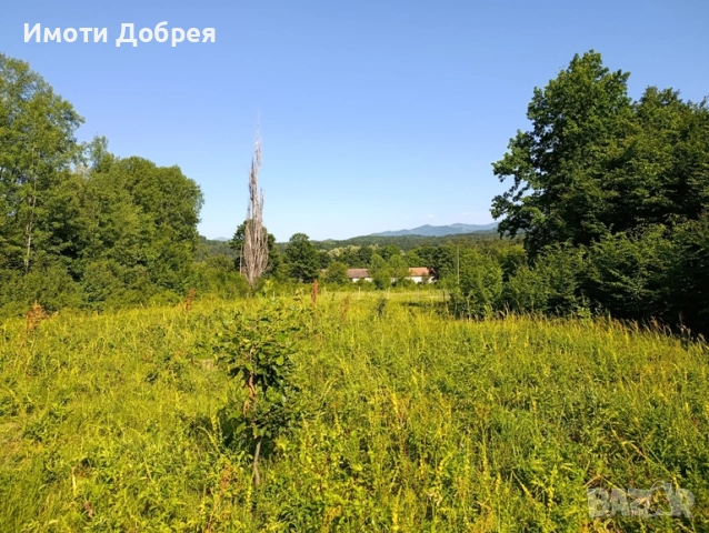 Парцел 3730 кв. м в гр. Троян, снимка 2 - Парцели - 52263890