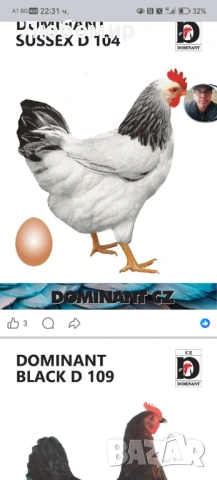 Записвам за ярки на 1 месец