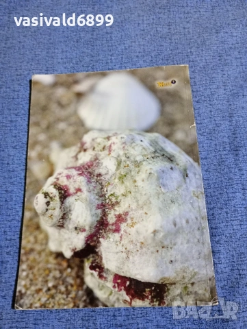 Списание "Усури" 118/2014, снимка 4 - Списания и комикси - 53513117