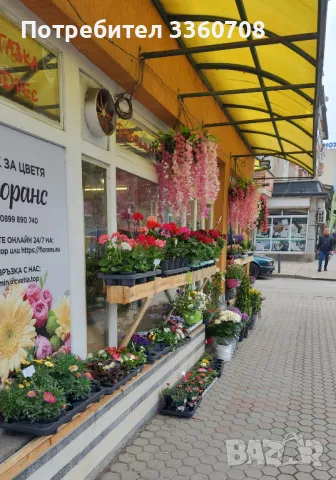 Доставка на цветя в София – florans.eu 🌸🚚