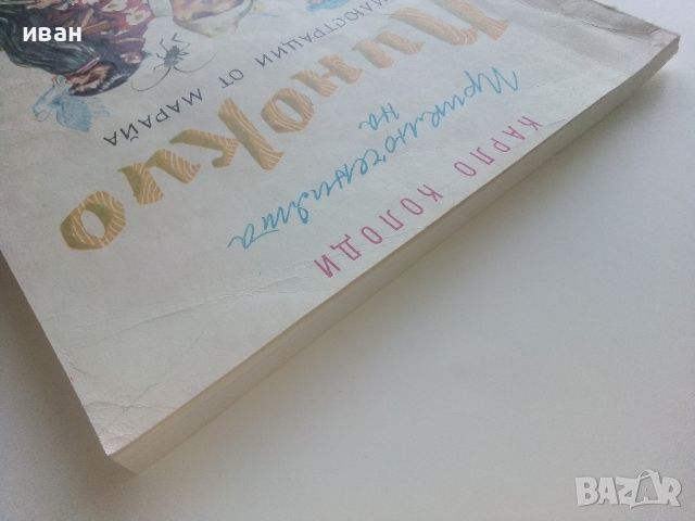 Приключенията на Пинокио - Карло Колоди - 1974г., снимка 11 - Детски книжки - 46459880