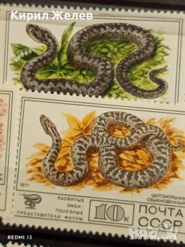 Стари пощенски марки чисти без печат СССР редки за КОЛЕКЦИЯ ДЕКОРАЦИЯ 52005, снимка 3 - Филателия - 53217436