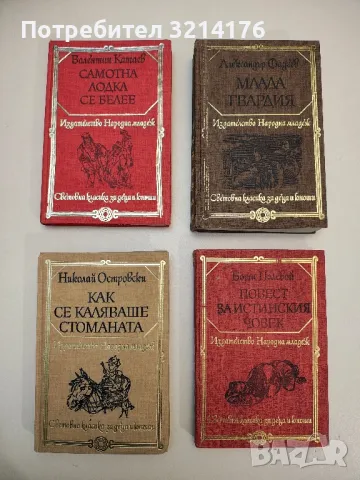 Как се каляваше стоманата - Николай Островски, снимка 1 - Художествена литература - 49098927