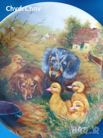 9бр Seltmann/ЗЕЛТМАН Бавария немска колекционерска декоративна порцеланова чиния-картина/животни, снимка 5 - Картини - 48371239
