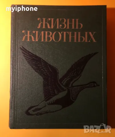 Стара Книга от Поредицата Живота на Животните/ Птиците том 6, снимка 1 - Енциклопедии, справочници - 49252831