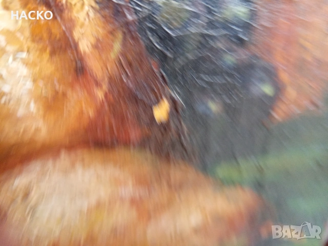 Стара Маслена Картина Разписана от Автора 1932г.Размери 50/40 см. Внос от Германия, снимка 13 - Антикварни и старинни предмети - 53047110