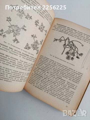 Наръчник по овощарство 1960г, снимка 9 - Специализирана литература - 53385359