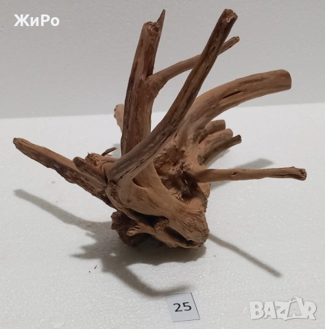Корен от Азалия /декорация/ 25, снимка 2 - Други - 53396788
