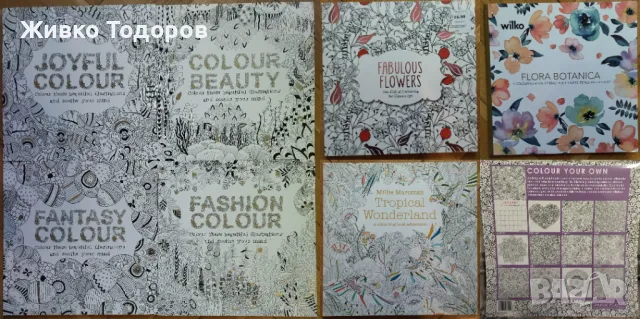 ИЗКУСТВО - книги с творби на художници и книги за оцветяване, снимка 9 - Художествена литература - 49929297