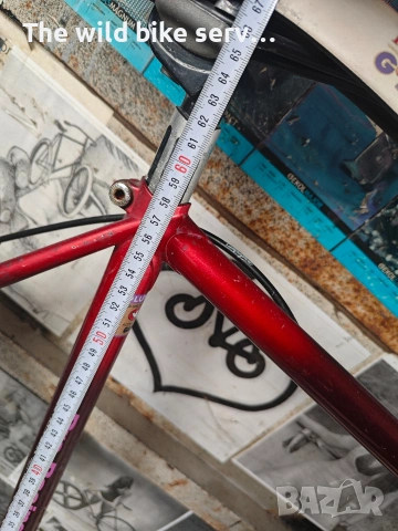 internazionale, снимка 16 - Велосипеди - 53889406