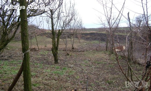 Парцел за продажба в Преспа, Добрич, снимка 2 - Парцели - 53634814