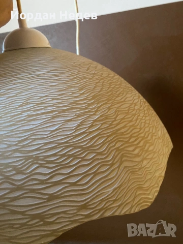 Полилей , снимка 2 - Полилеи - 53171638