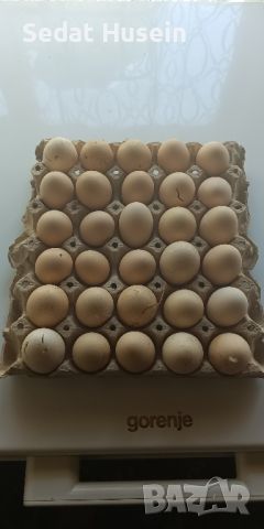 домашни пресни яйца , снимка 2 - Кокошки и пуйки - 46317369