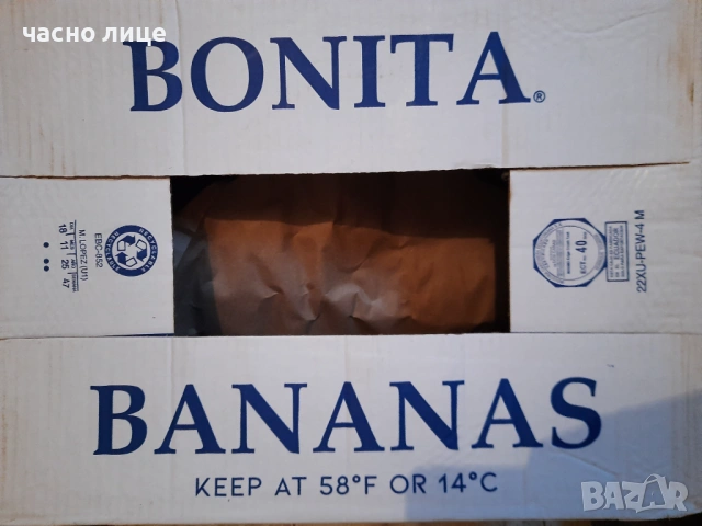 Здрави Кашони от Банани 