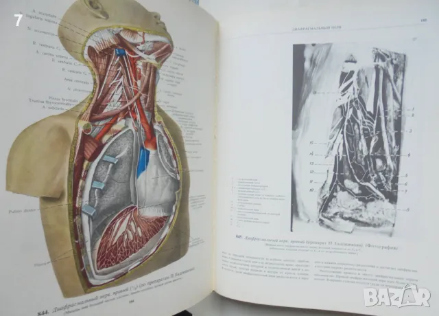 Книга Атлас анатомии человека. Том 3 Р. Д. Синельников 1983 г. Анатомия на човека, снимка 3 - Специализирана литература - 48183367