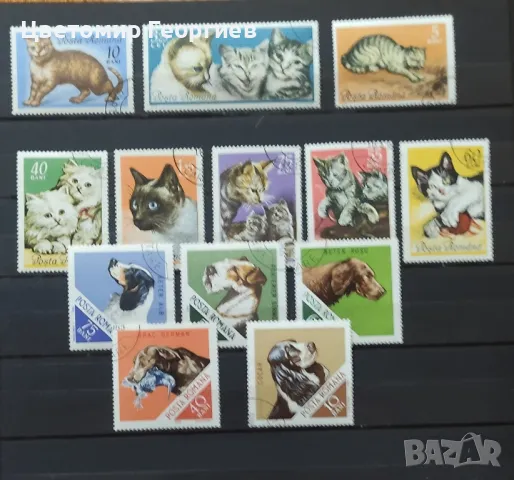 Кучета и котки / марки/ К.2, снимка 3 - Филателия - 49731116