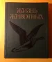 Стара Книга от Поредицата Живота на Животните/ Птиците том 6, снимка 1