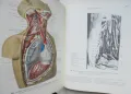 Книга Атлас анатомии человека. Том 3 Р. Д. Синельников 1983 г. Анатомия на човека, снимка 3