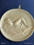 Рядък медал ПЪРВО МЯСТО ЦС ДОСО 50м. гръб жени 1953г. за КОЛЕКЦИОНЕРИ 28159, снимка 2