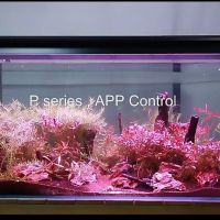 Лампи за аквариуми WEEK AQUA , снимка 5 - Оборудване за аквариуми - 45467500