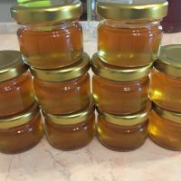 Малки бурканчета пълни с мед-25 мл., снимка 1 - Пчелни продукти - 45078614